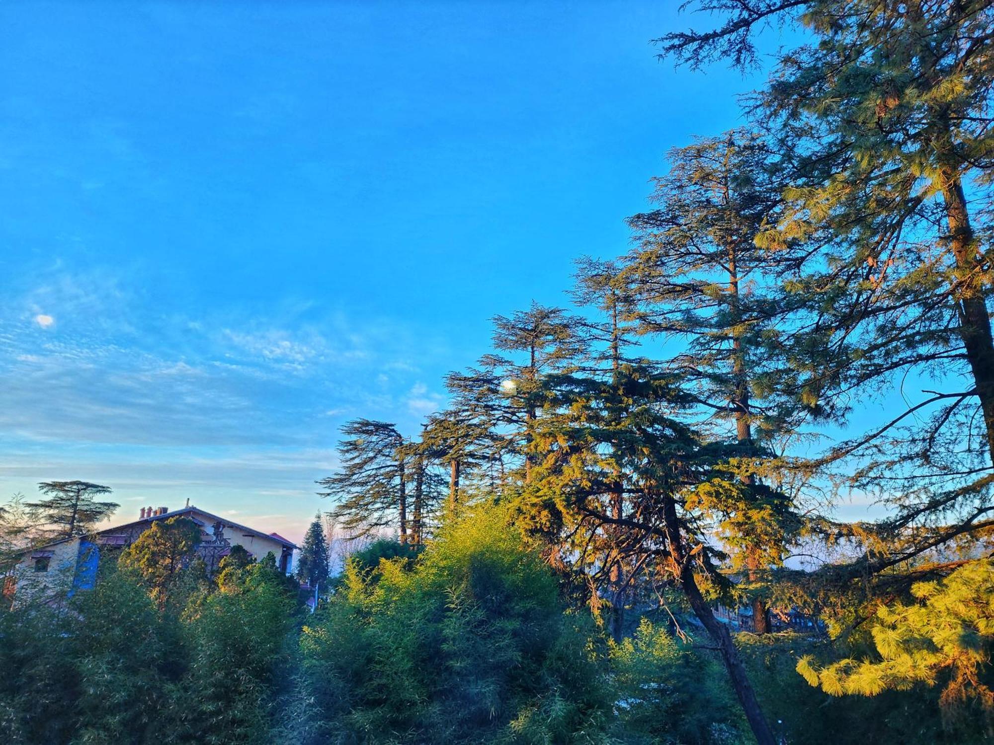 Hotel Pineview Shimla Zewnętrze zdjęcie